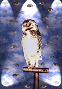 Oz - por Lagartija Wolff