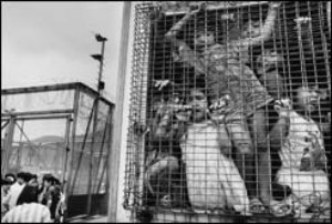 balseros vietnamitasDentro de la prisi�n, hay ni�os que no saben lo que es un perro, una vaca, un caballo o un jard�n. Hong Kong, 1995.