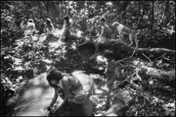 yaomamisCuando se sobrevuela la Amazonia, se antoja totalmente impenetrable, pero los indios se mueven por ella con comodidad. Amazonas, Brasil