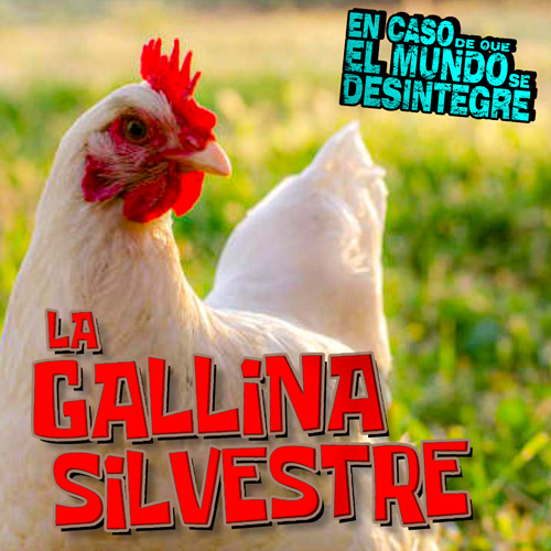 La Gallina Silvestre - Podcast