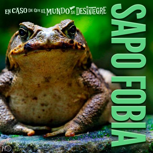 Sapo Fobia - Podcast