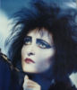 Siouxsie and the Banshees