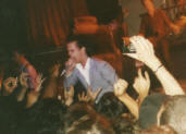 Nick Cave en concierto
