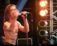 Iggy Pop